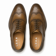 Brown Leather Cedara Brogue Wingtip Oxfords - Formal Shoes