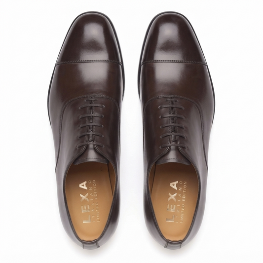 Top view of dark brown leather Derby shoes for men